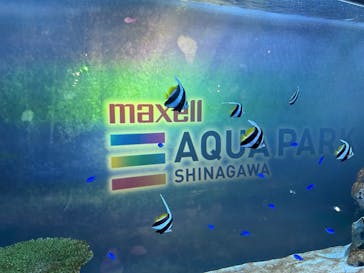 マクセル アクアパーク品川に投稿された画像（2025/5/2）