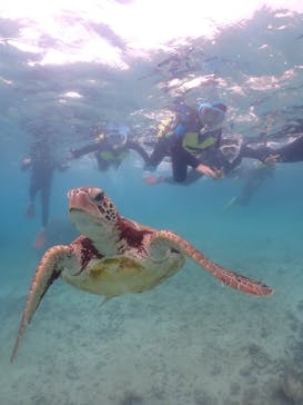 元気玉に投稿された画像（2025/5/2）