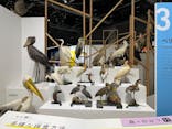 特別展「鳥～ゲノム解析が解き明かす新しい鳥類の系統～」に投稿された画像（2025/5/2）
