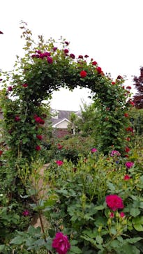 横浜イングリッシュガーデンに投稿された画像（2025/5/2）