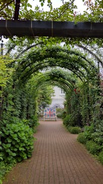 横浜イングリッシュガーデンに投稿された画像（2025/5/2）