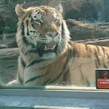 那須どうぶつ王国に投稿された画像（2025/5/2）