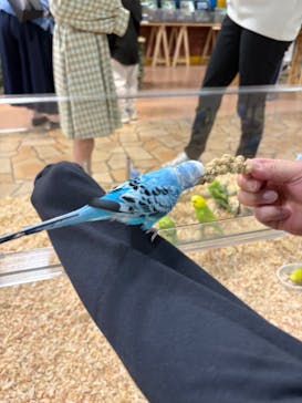 いきもの探検隊上尾に投稿された画像（2025/5/2）