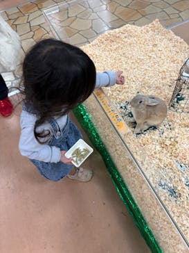 いきもの探検隊上尾に投稿された画像（2025/5/2）