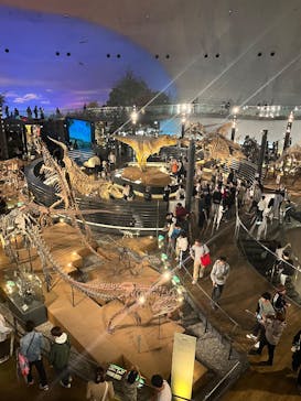 福井県立恐竜博物館に投稿された画像（2025/5/2）