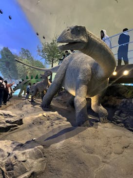 福井県立恐竜博物館に投稿された画像（2025/5/2）