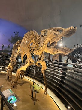 福井県立恐竜博物館に投稿された画像（2025/5/2）