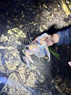 宮古島マリンショップSmileyに投稿された画像（2025/5/2）