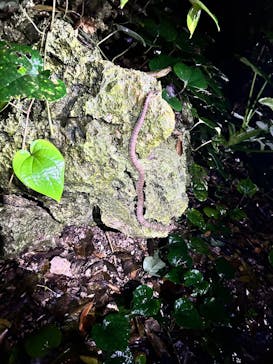 宮古島マリンショップSmileyに投稿された画像（2025/5/2）