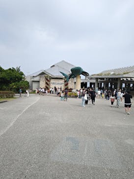 沖縄美ら海水族館に投稿された画像（2025/5/2）