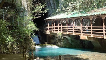 秋芳洞に投稿された画像（2025/5/2）