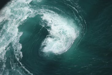 徳島県立 渦の道に投稿された画像（2025/5/2）