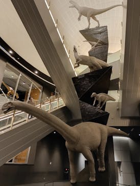 福井県立恐竜博物館に投稿された画像（2025/5/2）