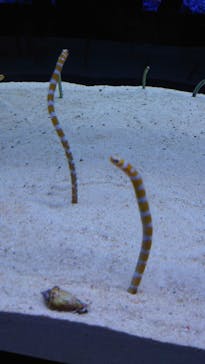 すみだ水族館に投稿された画像（2025/5/2）