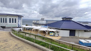 のとじま水族館に投稿された画像（2025/5/2）