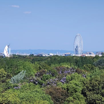 万博記念公園に投稿された画像（2025/5/2）