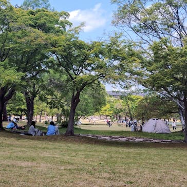 万博記念公園に投稿された画像（2025/5/2）