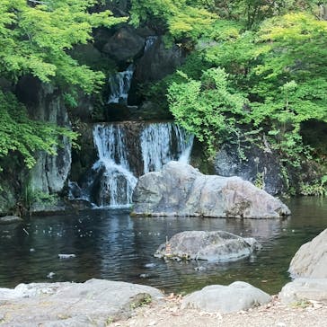 万博記念公園に投稿された画像（2025/5/2）