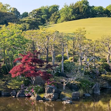万博記念公園に投稿された画像（2025/5/2）