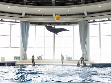 アクアワールド茨城県大洗水族館に投稿された画像（2025/5/2）