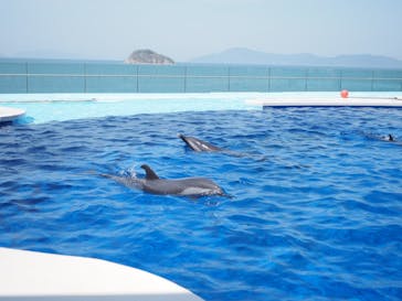 四国水族館に投稿された画像（2025/5/2）