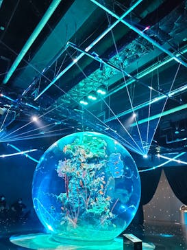 AQUARIUM × ART　atoaに投稿された画像（2025/5/2）