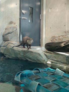 AQUARIUM × ART　atoaに投稿された画像（2025/5/2）