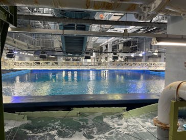 沖縄美ら海水族館（館内体験）に投稿された画像（2025/5/3）