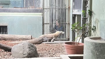名古屋市東山動植物園に投稿された画像（2025/5/3）