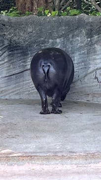 名古屋市東山動植物園に投稿された画像（2025/5/3）