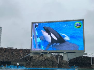 名古屋港水族館に投稿された画像（2025/5/3）