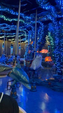 マクセル アクアパーク品川に投稿された画像（2025/5/3）