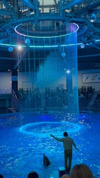 マクセル アクアパーク品川に投稿された画像（2025/5/3）