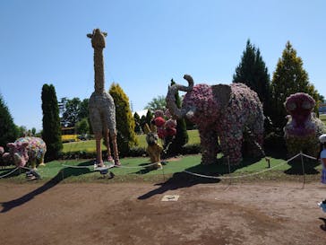 東武動物公園に投稿された画像（2025/5/3）