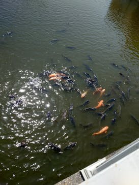 東武動物公園に投稿された画像（2025/5/3）