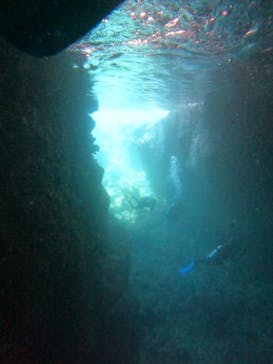 武藤潜水に投稿された画像（2025/5/3）