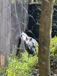 恩賜上野動物園に投稿された画像（2025/5/3）