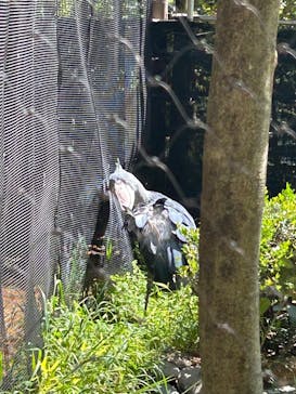 恩賜上野動物園に投稿された画像（2025/5/3）