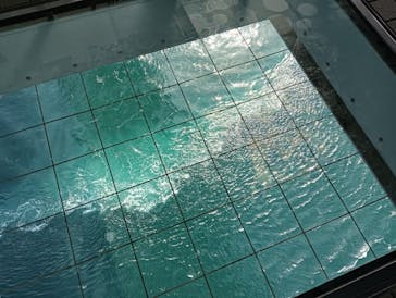 徳島県立 渦の道に投稿された画像（2025/5/3）