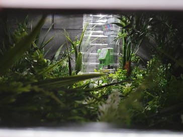 Mozuミニチュア展2025　ようこそ、ちいさな世界へ。に投稿された画像（2025/5/3）