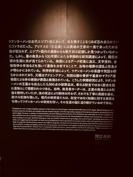 MYSTERY OF TUTANKHAMEN 体感型古代エジプト展に投稿された画像（2025/5/3）