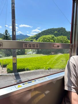 大井川鐵道株式会社に投稿された画像（2025/5/3）