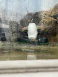 仙台うみの杜水族館に投稿された画像（2025/5/3）