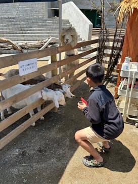 霞ケ浦 どうぶつとみんなのいえに投稿された画像（2025/5/3）