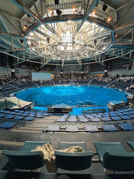 マクセル アクアパーク品川に投稿された画像（2025/5/3）