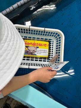 竹島水族館に投稿された画像（2025/5/3）