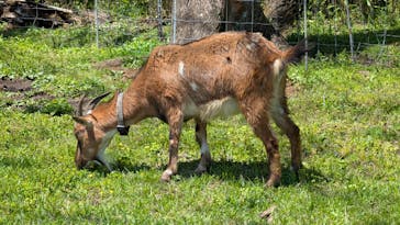 マザー牧場に投稿された画像（2025/5/3）