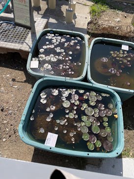 竹島水族館に投稿された画像（2025/5/3）