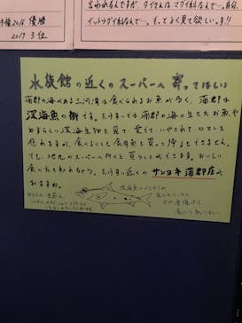 竹島水族館に投稿された画像（2025/5/3）