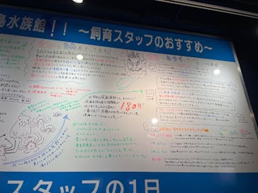 竹島水族館に投稿された画像（2025/5/3）